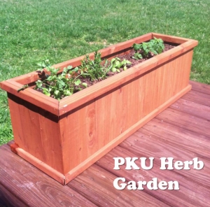 How to Save Money with a PKU Herb Garden